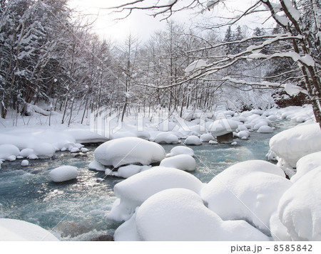 北海道・美瑛 「真冬の美瑛川」 8585842