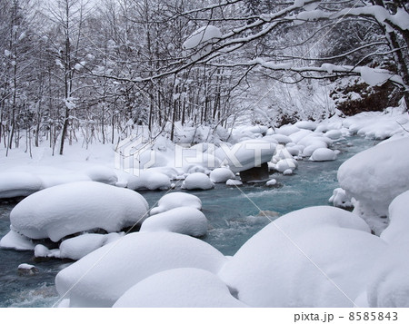 北海道・美瑛 「真冬の美瑛川」 8585843