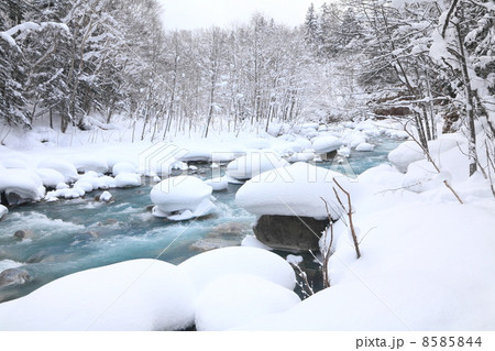 北海道・美瑛 「真冬の美瑛川」 8585844