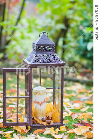 Antique lantern decorated with autumn leaves and candle 8587059