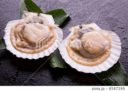 殻付きほたて貝 殻付きほたて貝 8587299