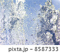Water 8587333