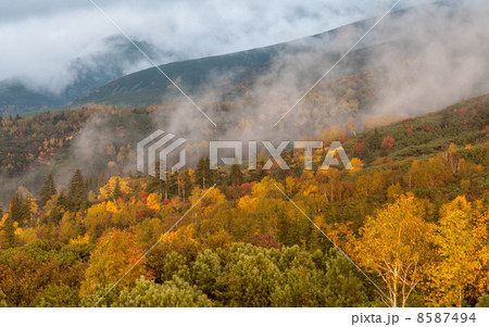 望岳台の黄葉 望岳台の黄葉 8587494