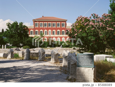 マチス美術館 マチス美術館 8588089