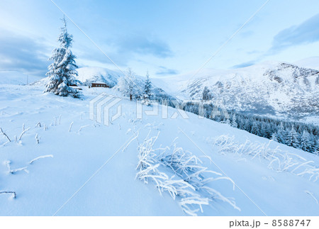 Morning winter mountain landscape 8588747