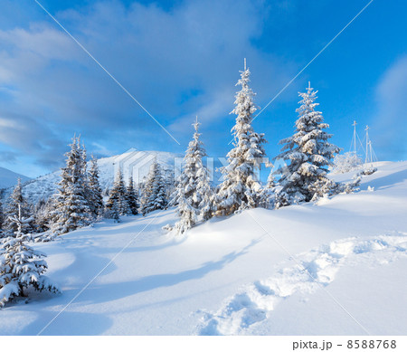 Morning winter mountain landscape Morning winter mountain landscape 8588768