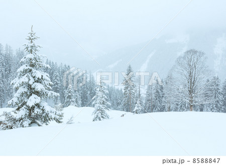 Winter mountain misty landscape Winter mountain misty landscape 8588847