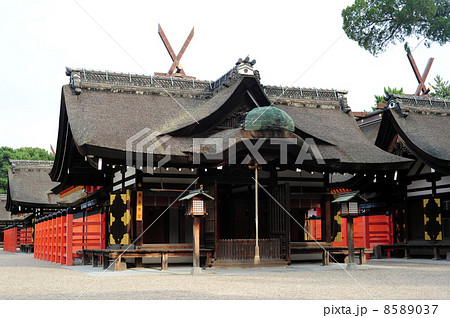 住吉大社-9 8589037