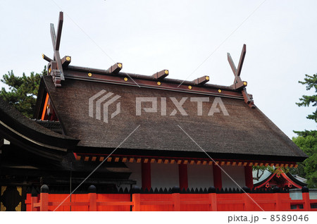住吉大社-11 住吉大社-11 8589046