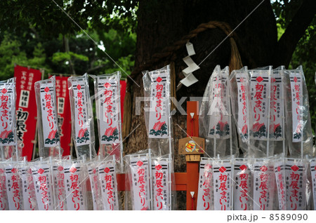 住吉大社はったつさん 8589090