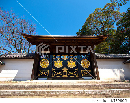 醍醐寺の三宝院唐門 醍醐寺の三宝院唐門 8589806
