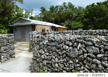 竹富島　集落　石垣 8589851