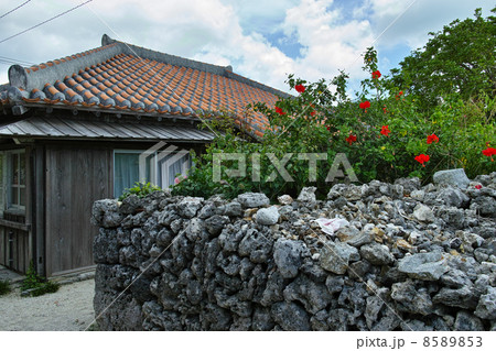 竹富島　集落　石垣 8589853