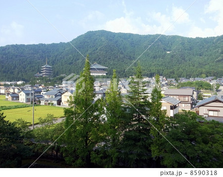 大師山清大寺 8590318