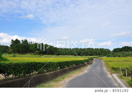 吉備路 8591192