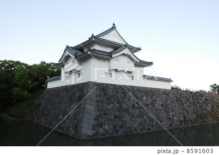 駿府城坤櫓(静岡市葵区） 8591603