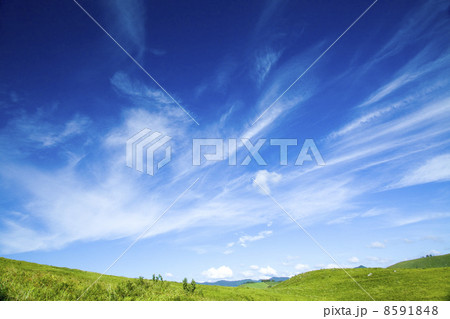 緑の丘と雲 8591848