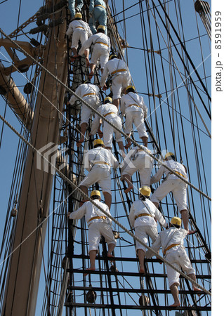 海王丸　セイルドリル 8591959