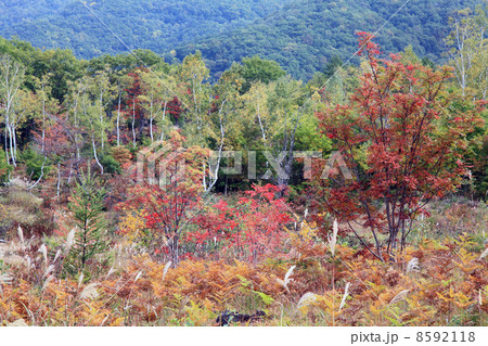 一の瀬園地 8592118