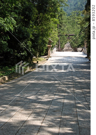 出雲大社の「祓橋」と「下り参道」（出雲市大社町／島根県） 8593202