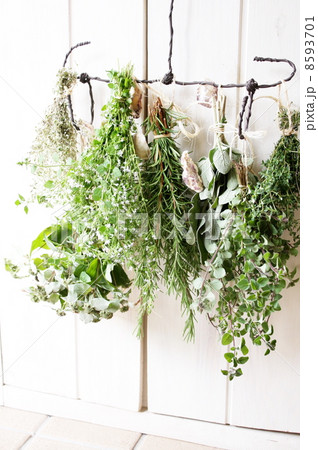 乾燥させるために吊るしたハーブの写真素材