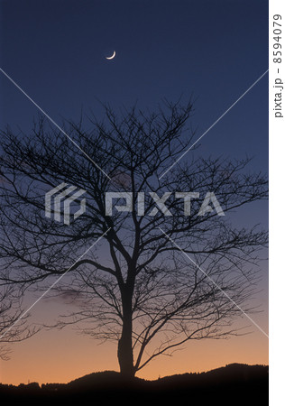 馬事公苑の月１ 8594079