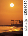 青島の日の出２ 8594080