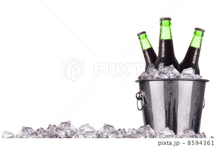 Beer bottles in ice bucket isolated Beer bottles in ice bucket isolated 8594361