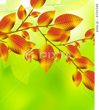 Autumn leaves background 8594388