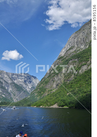 ソグネフィヨルド 8595156