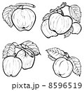 Hand drawn apples 8596519