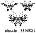 Flaming butterflies 8596521