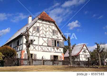 アルザス地方農家の家 8597585