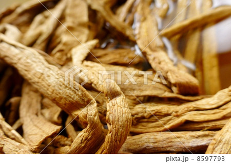 芋がら 芋がら 8597793