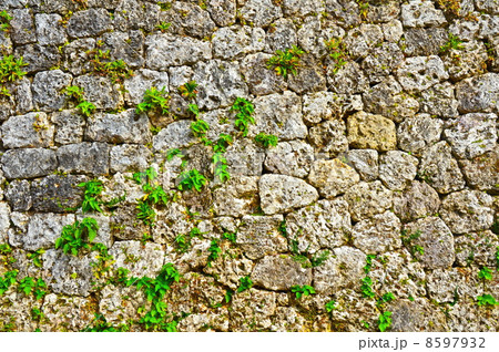 世界遺産･座喜味城跡の「石垣」（沖縄県中頭郡読谷村） 8597932