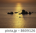 天草西海岸夕景 8609126