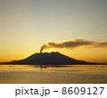 桜島噴煙夕景 8609127