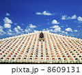 沖縄小浜島シーサーと赤瓦屋根 8609131