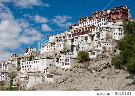 Buddhist heritage, Thiksey monastery. India 8610131