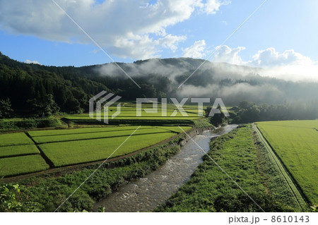 水田と小川 水田と小川 8610143