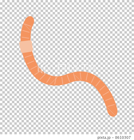 ミミズ ミミズ 8610307