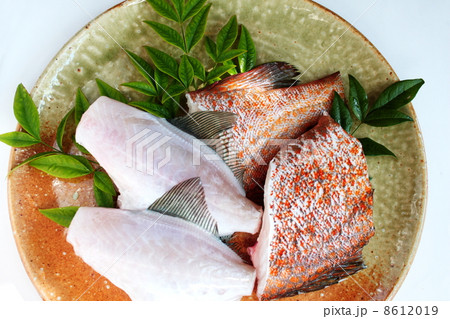 調理のために下拵えした魚 8612019
