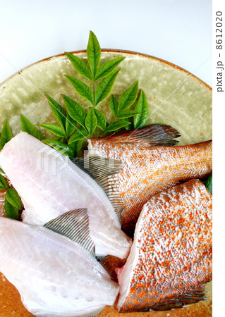 調理のために下拵えした魚 8612020