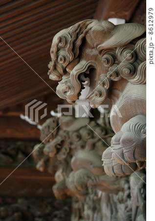獅子鼻 獅子鼻 8612979