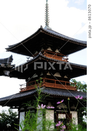 法起寺 8613070