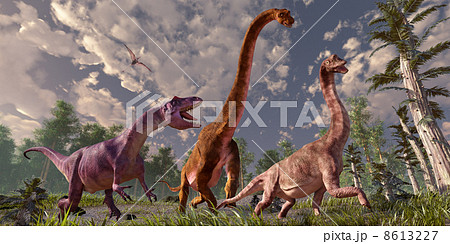 ブラキオサウルスの親子とアロサウルス　その２ 8613227