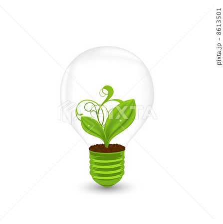 Bulb with plant inside isolated on white background Bulb with plant inside isolated on white background 8613501