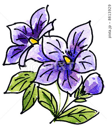 kikyou131022pix1 8613929