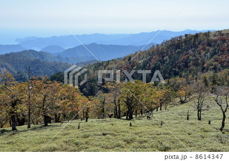 大台ケ原山と熊野灘 大台ケ原山と熊野灘 8614347