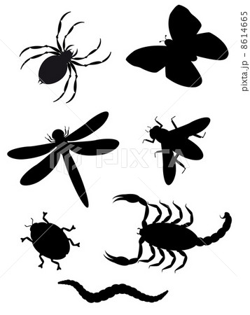 beetles and insects silhouette 8614665